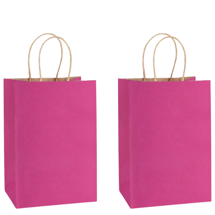 Gifts Paper Bag (22x10x26 CM) 100 GSM Dark Pink with Twisted Handles – Bulk Party & Gift Packaging