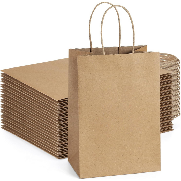 Gifts Paper Bag (22x10x26 CM) 100 GSM Brown with Twisted Handles – Bulk Party & Gift Packaging