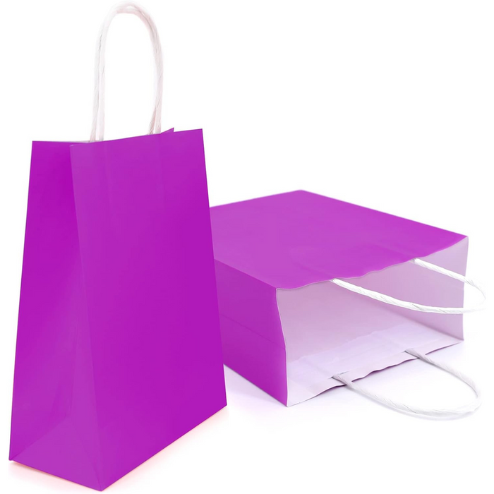 Gifts Paper Bag (22x10x26 CM) 100 GSM Purple Glossy with Twisted Handles – Bulk Party & Gift Packaging