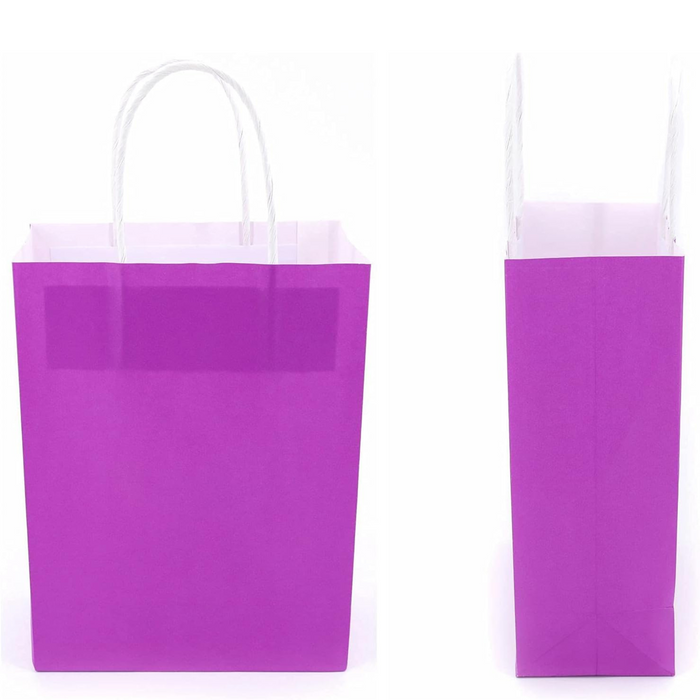 Gifts Paper Bag (22x10x26 CM) 100 GSM Purple Glossy with Twisted Handles – Bulk Party & Gift Packaging
