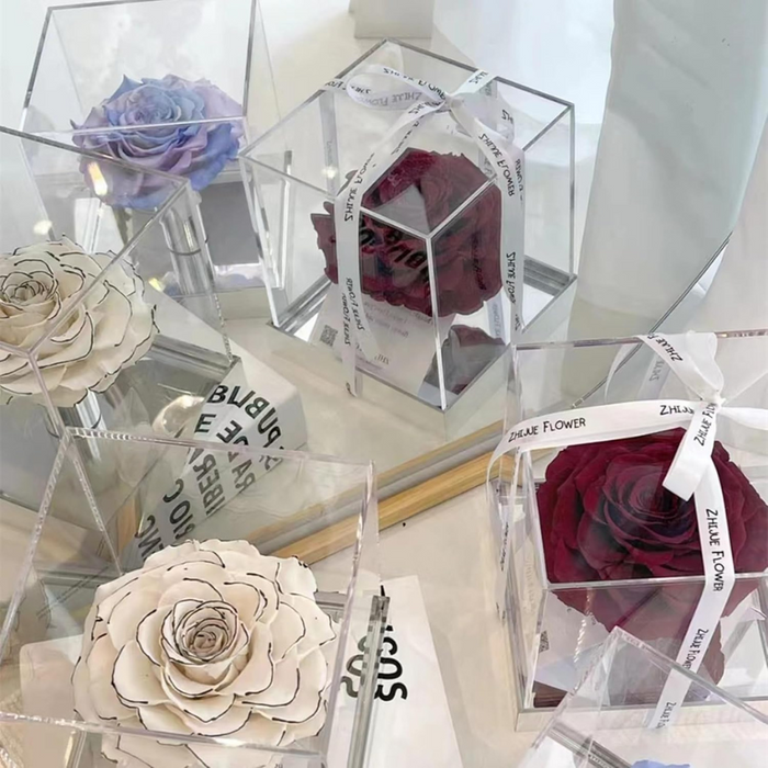 Acrylic Box Clear Boxes with Lid 100x100x100 mm