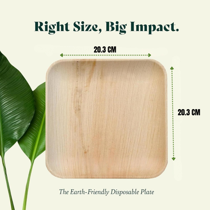 8-Inch Palm Leaf Square Plates Compostable And Biodegradable Eco Friendly Heavy-Duty