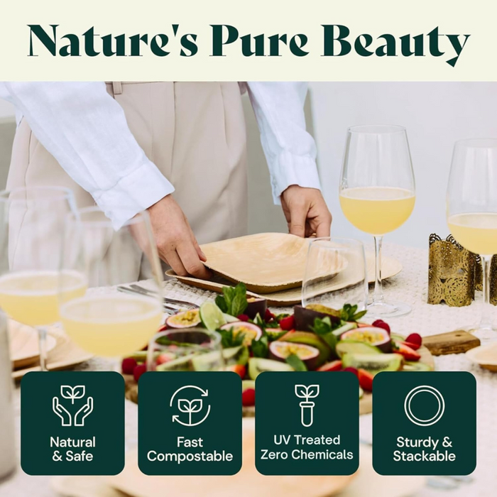 10-Inch Palm Leaf Round Plates Compostable And Biodegradable Eco Friendly Heavy-Duty