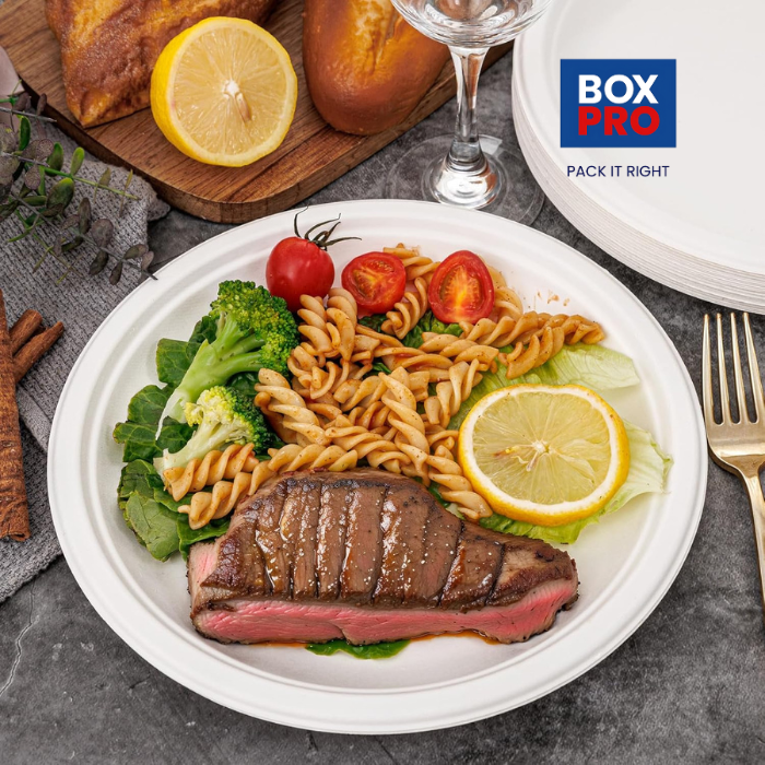10 Inch Biodegradable Bagasse Heavy-Duty Plates